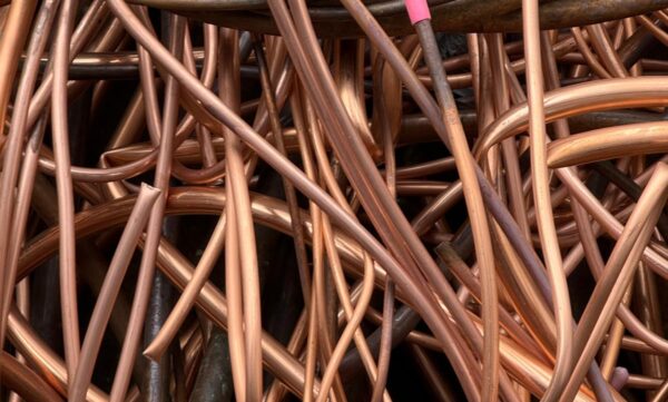 WhatsApp Image 2026-03-05 at 04.02.48 (10)