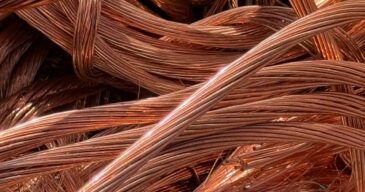 WhatsApp Image 2026-03-05 at 04.02.50 (5)