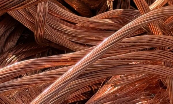 WhatsApp Image 2026-03-05 at 04.02.50 (5)